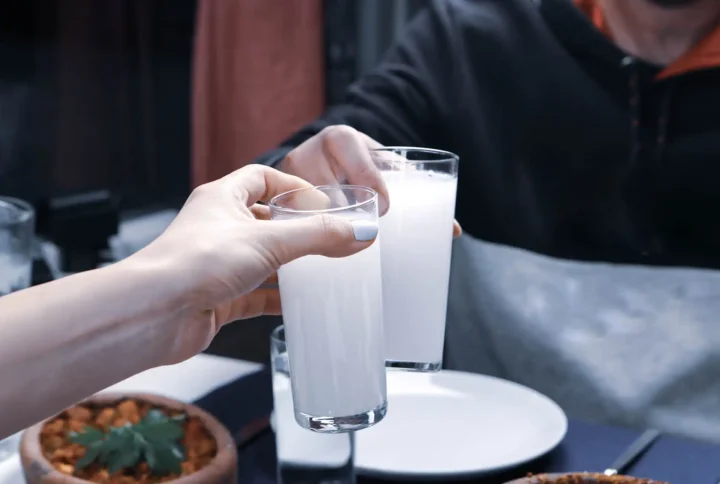 The Cultural and Social Significance of Rakı Nights in TÜRKİYE